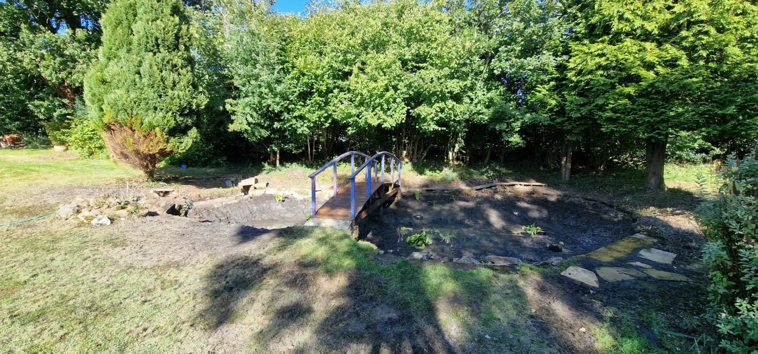 Buy Marginal Pond Plants to Enhance Your Pond’s Landscape